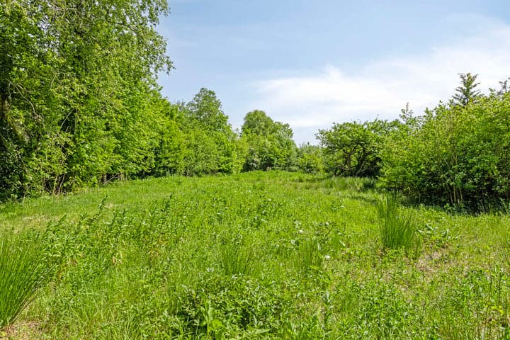 Kluswoning West in Buitenpost foto 1