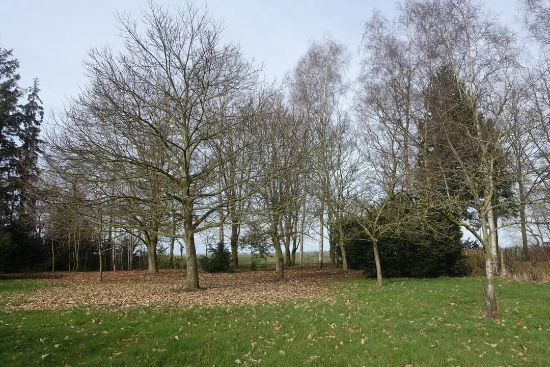 Kluswoning Hoofdweg in Bellingwolde, huidige staat