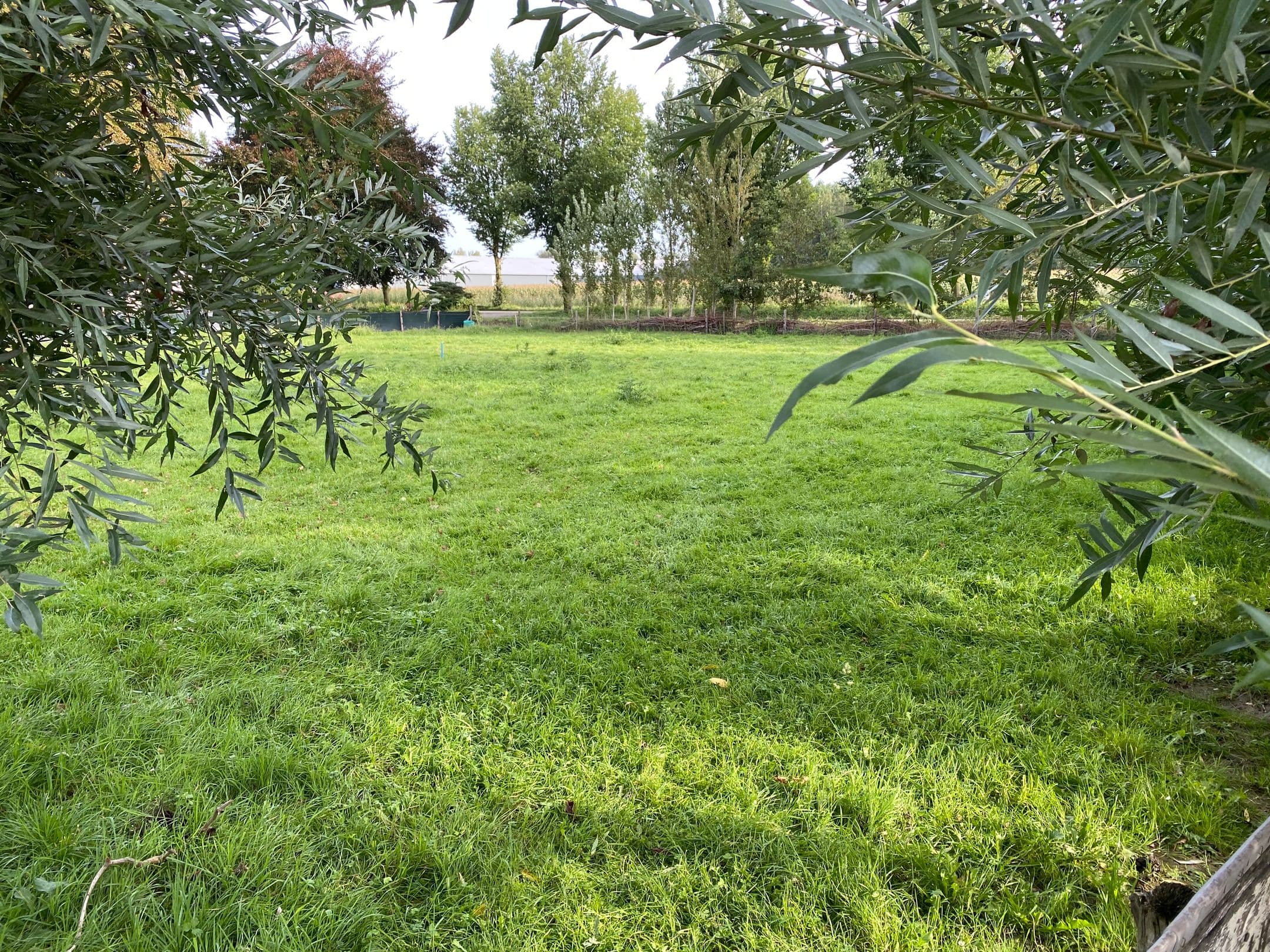 Kluswoning Noord Zuidweg 9-01 in Boven-Leeuwen