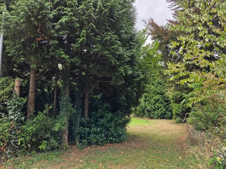 Kluswoning Oude Maasdijk 24 in Dreumel, huidige staat
