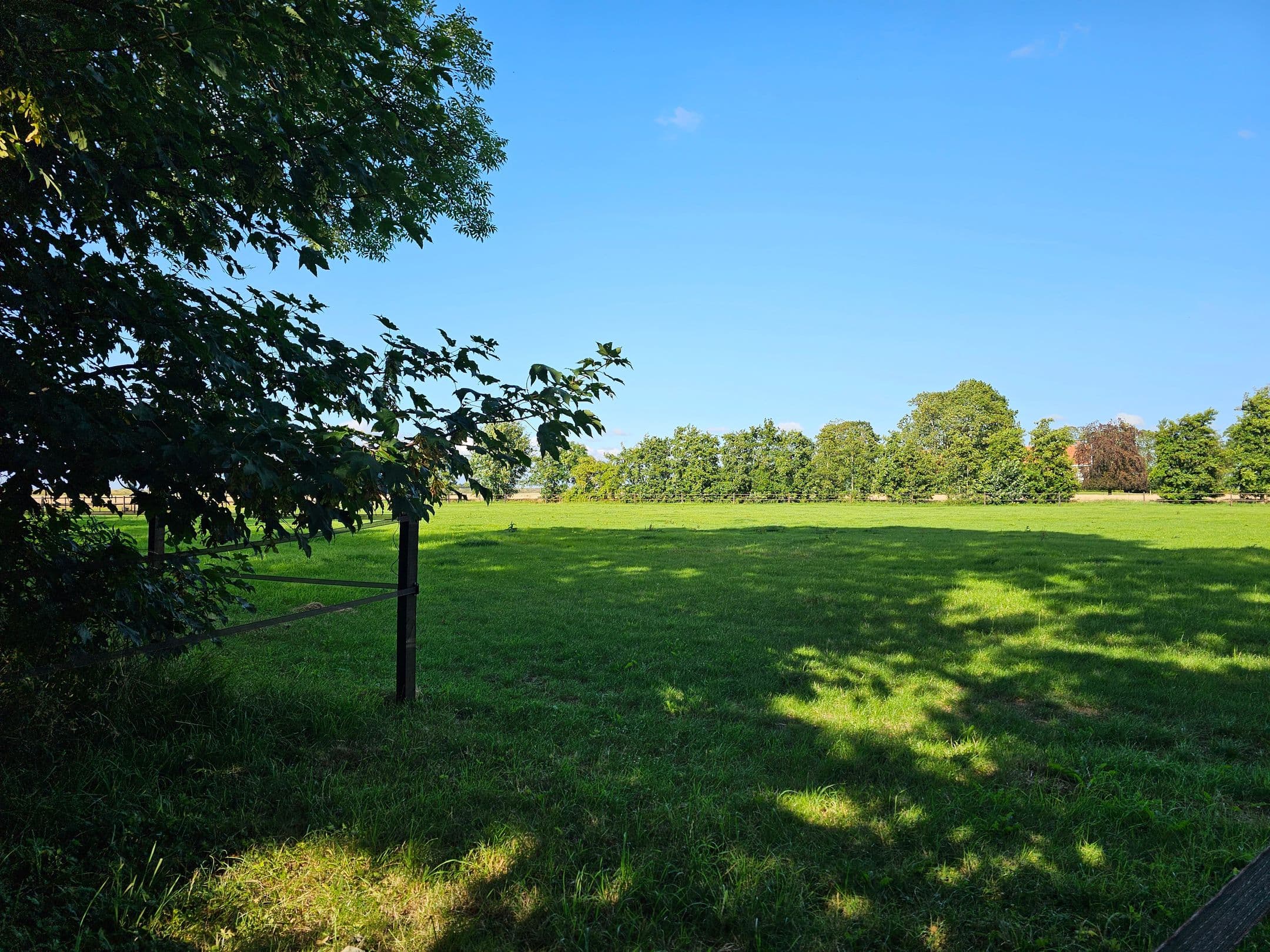 Kluswoning Reiderwolderpolder 27 in Finsterwolde
