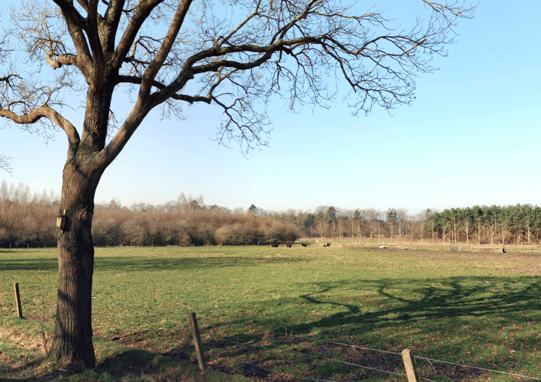 Kluswoning Scherpenzeelseweg in Maarsbergen, huidige staat