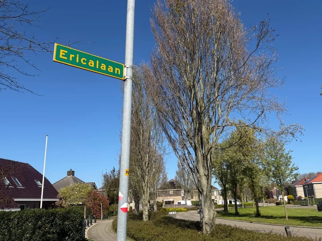 Kluswoning Boslaan - kavel 4 in Oude Pekela, huidige staat