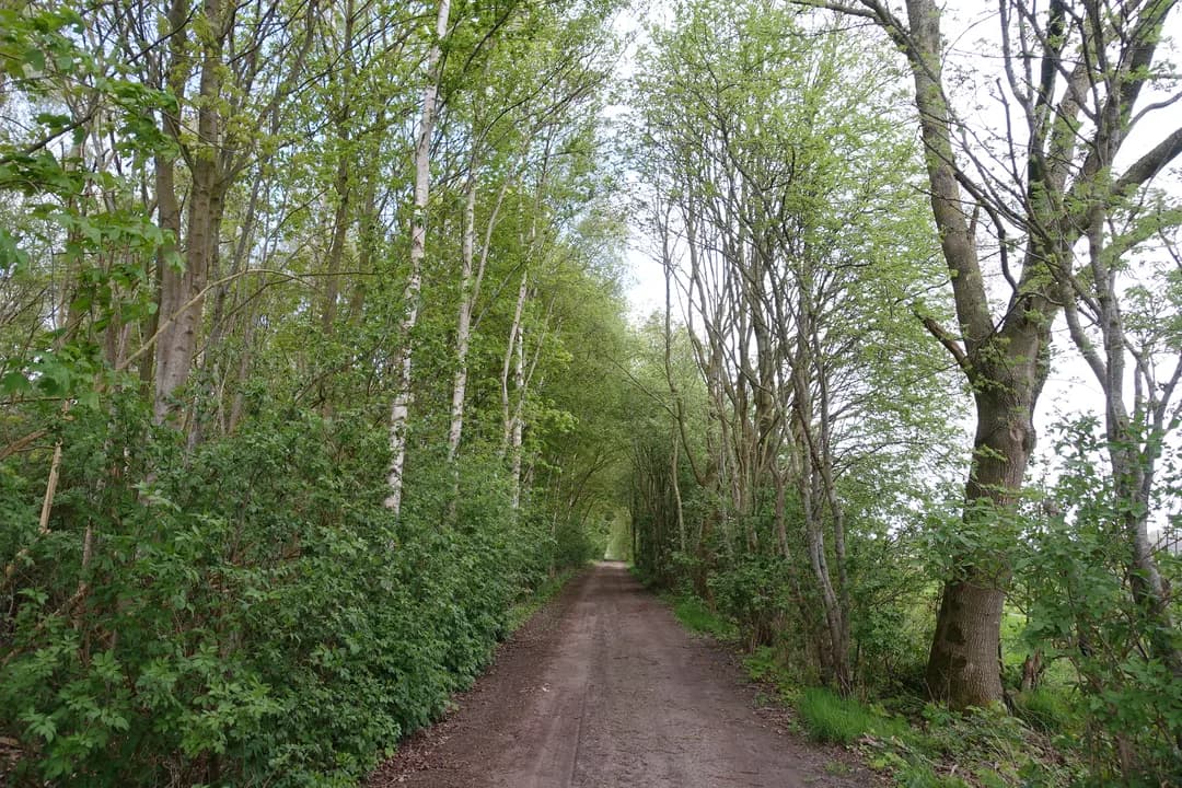 Kluswoning 2e Dalweg 10 in Vriescheloo, huidige staat