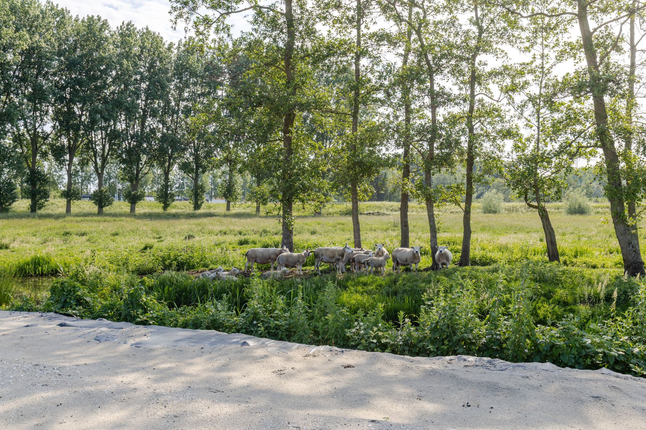 Kluswoning 't Weegje (Bouwnr. 9) in Waddinxveen